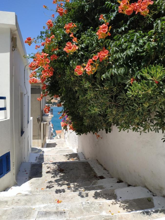 Appartamento Sweet & Cosy Αpartment In Chora'S Old Town Ándros Esterno foto